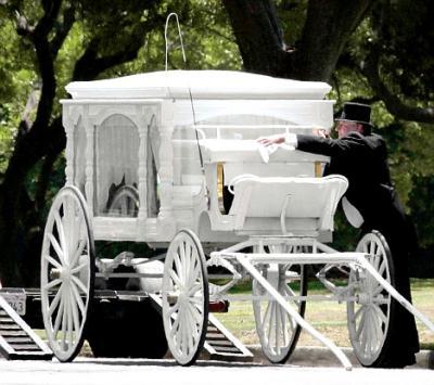 Snow white hearse: The horse-drawn carriage that is rumoured to be carrying Jackson's body to his funeral