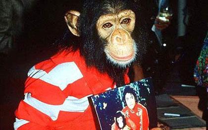 Bubbles holds a photo with MJ