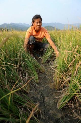 South China's Guangdong province is experiencing drought, with about 50,000 people facing a shortage of drinking water.