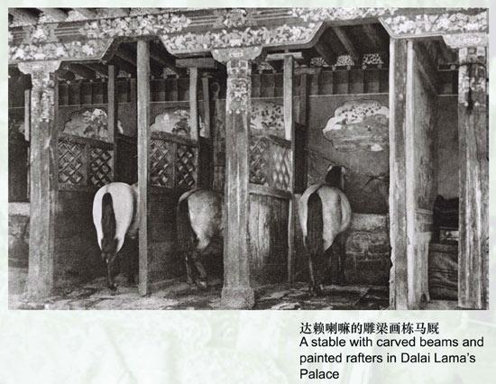 達賴喇嘛的雕梁畫棟馬廄