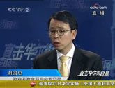 謝國忠：中國的外匯儲備的應用戰略