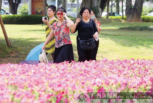 邕城休閒公園魅力大增 各種主題體驗應有盡有(圖)