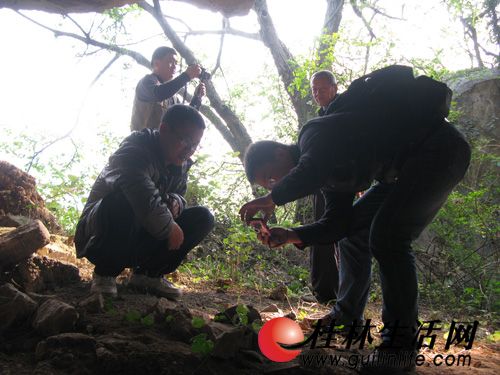 探秘桃花江新岩古人類洞穴遺址(圖)