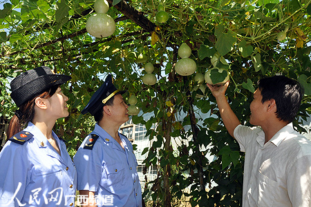 廣西藤縣：鄉村旅遊特色濃 農民增收速度快