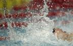 [高清組圖]短池世界盃：孫曉磊男子50米仰泳奪冠
