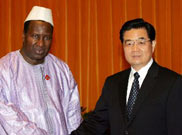 胡錦濤與非洲聯盟委員會主席