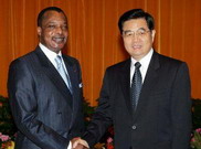 胡錦濤會見剛果（布）總統