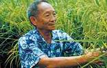      袁隆平,中國工程院院士，我國當代傑出的農業科學家，享譽世界的“雜交水稻之父”。<br>     他工作50多年來所取得的科研成果使我國雜交水稻研究及應用領域領先世界水平，不僅解決了中國糧食自給難題，也為世界糧食安全做出了傑出貢獻。