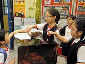 香港小學生踴躍向災區捐款