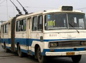 80年代初：公交車開始全國普及