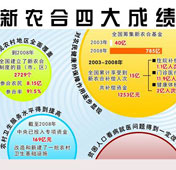 圖表：新農合四大成績