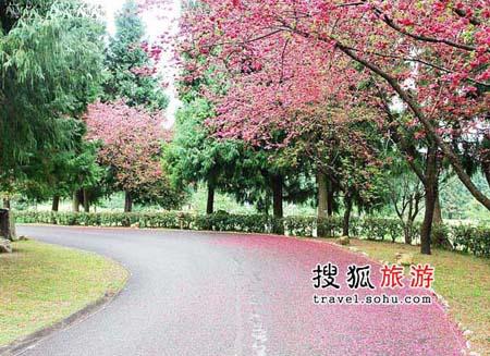 Taiwan Nantou Jiuzu Culture Village [Photo: sohu.com] 