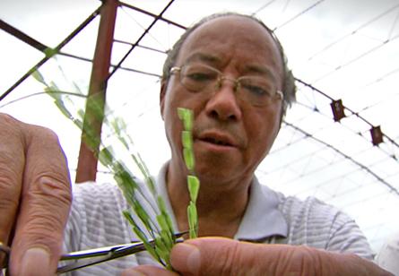 謝華安:希望更多年輕人接過接力棒