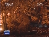 [軍事報道]邊防官兵緊急撲救新疆塔城林場大火
