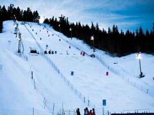 塞普萊斯山滑雪場<br>比賽項目:自由式滑雪、單板滑雪