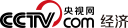 央視網logo