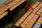 廣西桂林：舊村板鴨百年飄香