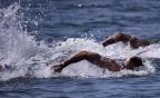 [高清組圖]男子10公里馬拉松游泳：荷蘭選手奪冠