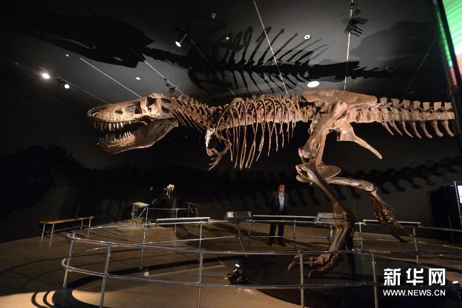 （5）1月23日，媒體工作者在新加坡藝術科學博物館舉行的恐龍展媒體預展上參觀。