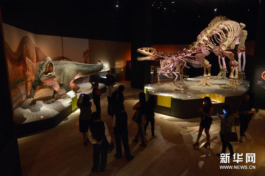  （6）1月23日，媒體工作者在新加坡藝術科學博物館舉行的恐龍展媒體預展上參觀。