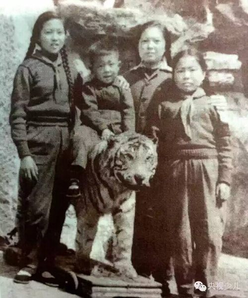 這是董浩的三個姐姐在父親剛剛去世時在動物園陪董浩照的照片。那時，四歲的董浩還以為父親出遠門了。