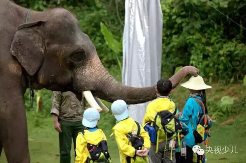 大象朋友熱情地給小隊員戴上了帽子。