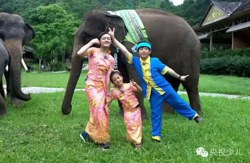 三位小隊員跟穿上新裝的大象合影。