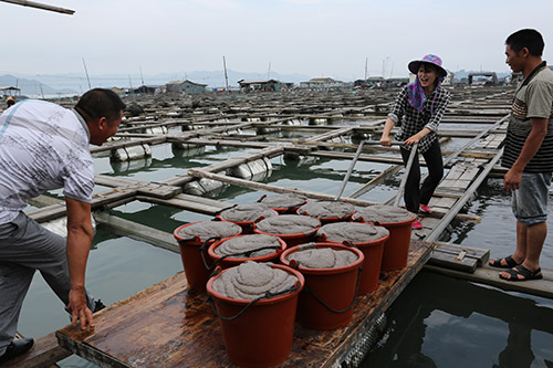 韓國留學生鄭霓瑟化身“村姑”，運送魚飼料