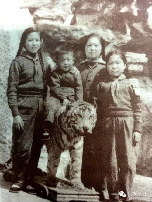 這是董浩小時候和他的三個姐姐一起去動物園的合影