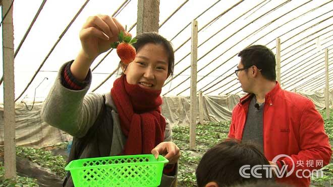 創業慘敗挖下兩個大坑之後