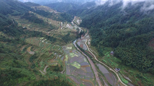 融水大苗山