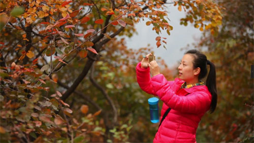 紅螺三險