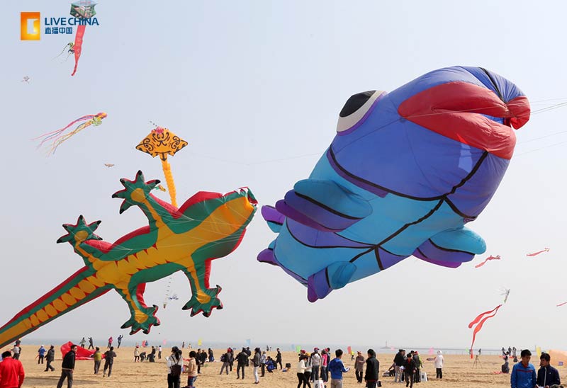 圖為2015年濰坊國際風箏會現場圖片