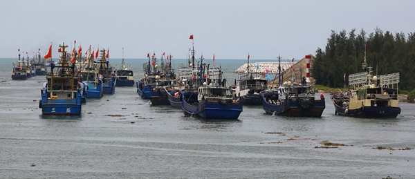 A traditional ceremony is held to celebrate the opening of the port at Yazhou, about 50 kilometers west of Sanya in Hainan province, Aug 1, 2016. 