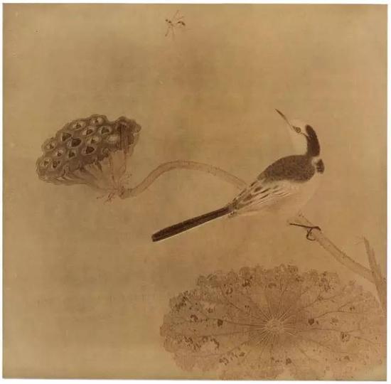 《疏荷沙鳥圖頁》 宋，絹本設色，縱25cm，橫25.6cm