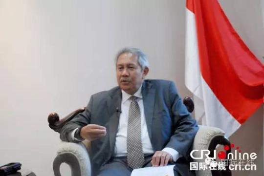 印尼駐華大使：G20峰會召開正合時宜 世界期待