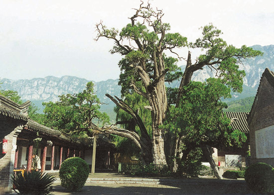 中國北宋四大書院—嵩陽書院