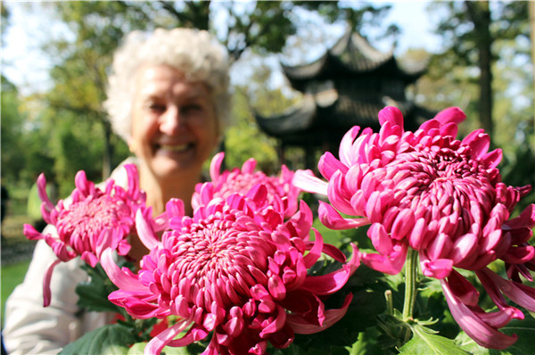 An elderly woman enjoys the chrysanthemum flowers at the Humble Administrator