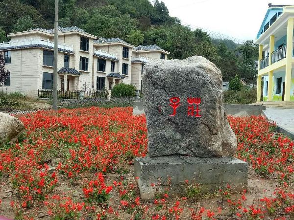 【網絡媒體走轉改】欒川莊子村：“三步走”建設“美麗鄉村”