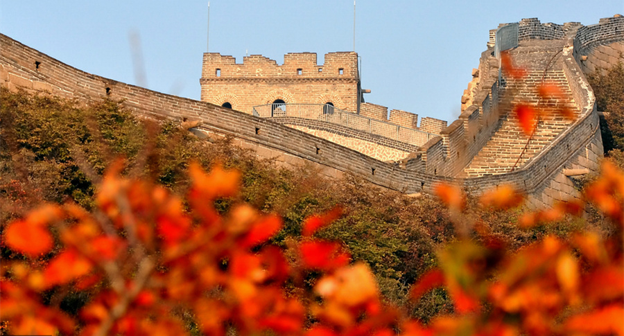 登長城 賞紅葉：去八達嶺國家森林公園紅葉嶺迎最佳觀賞期