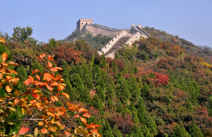 登長城 賞紅葉：去八達嶺國家森林公園紅葉嶺迎最佳觀賞期