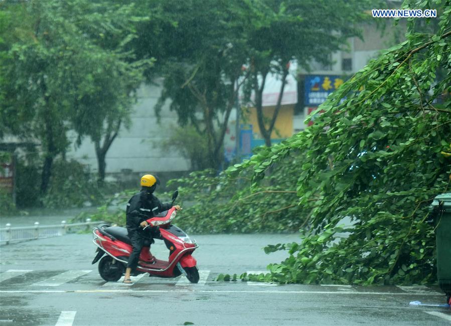 Branches are broken in typhoon-hit Qionghai City, south China