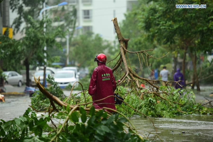 Branches are broken in typhoon-hit Qionghai City, south China