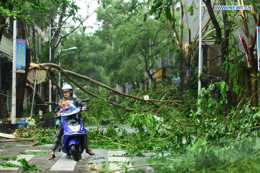 Branches are broken in typhoon-hit Qionghai City, south China