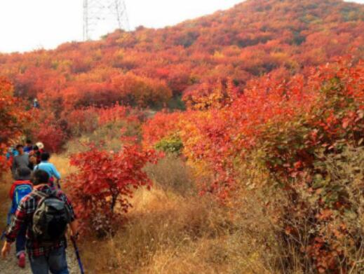 舞彩淺山濱水國家登山步道