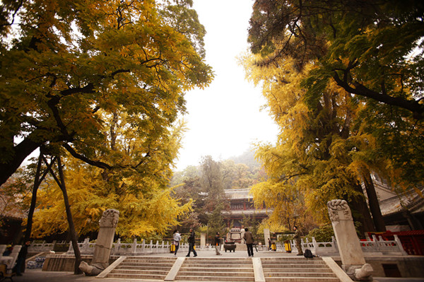 潭柘寺