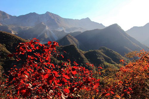 坡峰嶺自然風景區