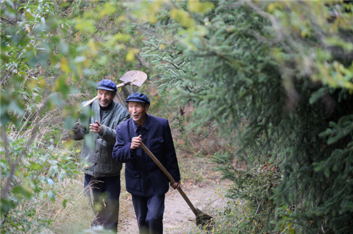 許志強（左）和許志剛扛著鐵鍬走過種著側柏和雲杉的小道