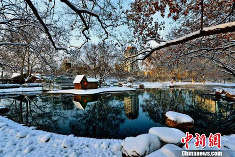 圖為濰坊人民公園迎來初雪。（圖  常軍）