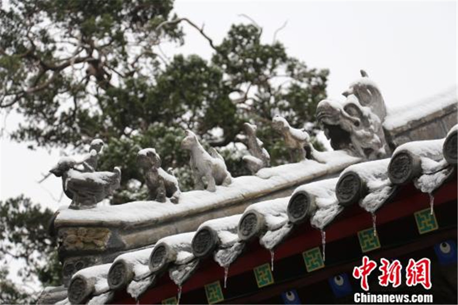 孟子故里鄒城的孟廟初雪時節結出冰棱。（圖  王崇印）